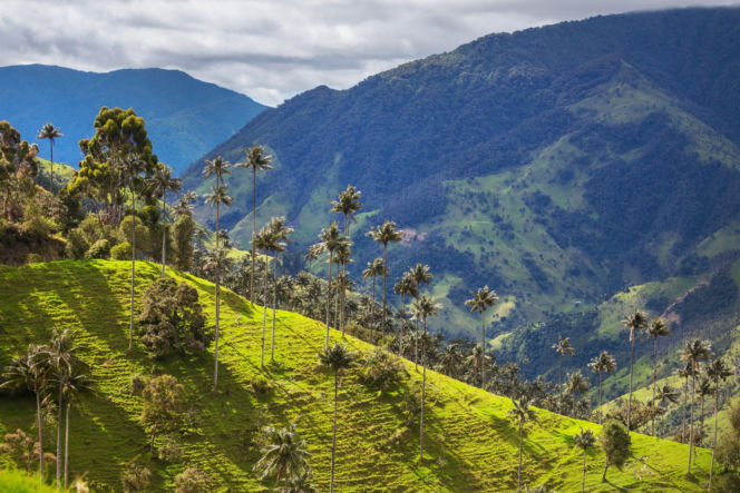 sztuczna inteligencja wybrała 5 najlepszych miejsc na wakacje 2026 - Londyn