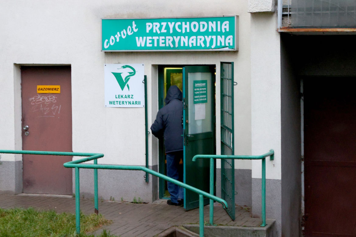 Ktoś otruł mojego psa!