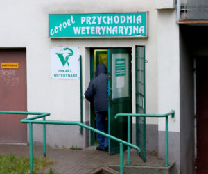 Ktoś otruł mojego psa!