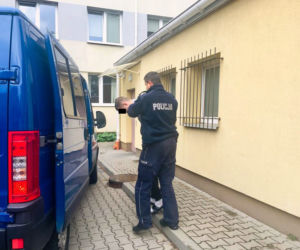 Podejrzany o usiłowanie zabójstwa i posiadanie znacznej ilości narkotyków zatrzymany