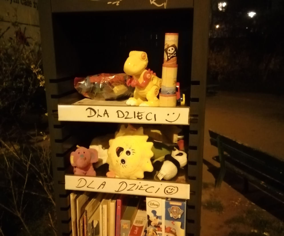 Szafka z zabawkami na Wildzie