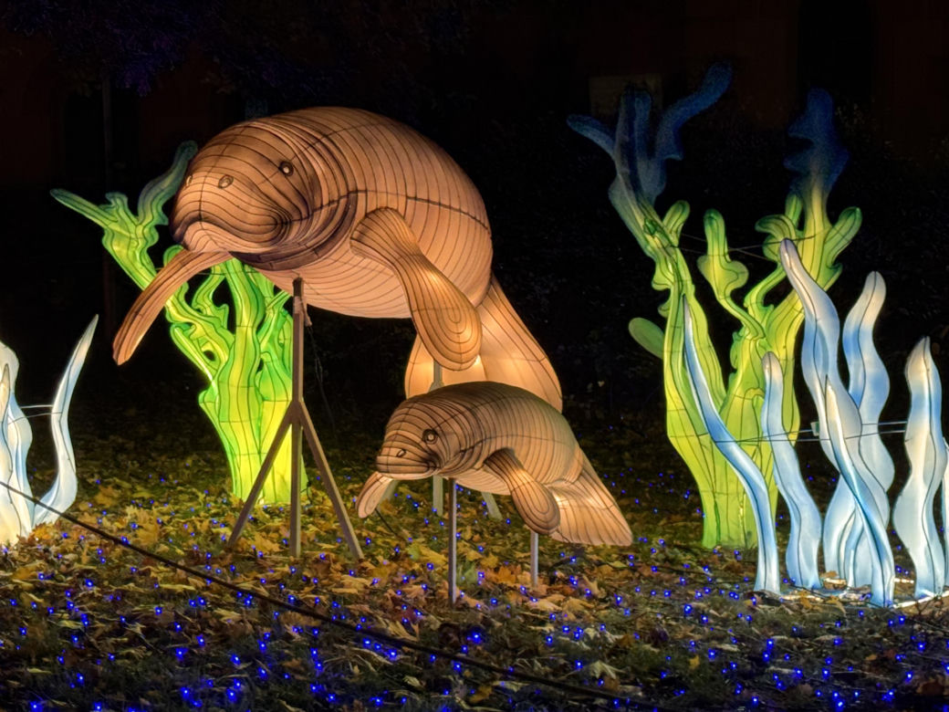 Garden of Lights we Wrocławiu