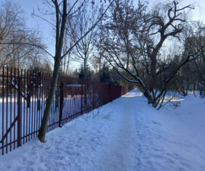 Ogródki działkowe do likwidacji w związku z budową tramwaju na Gocław