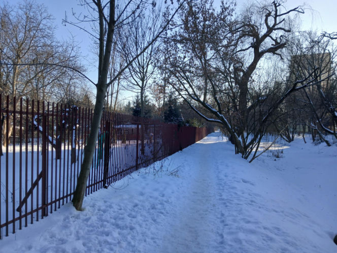 Ogródki działkowe do likwidacji w związku z budową tramwaju na Gocław