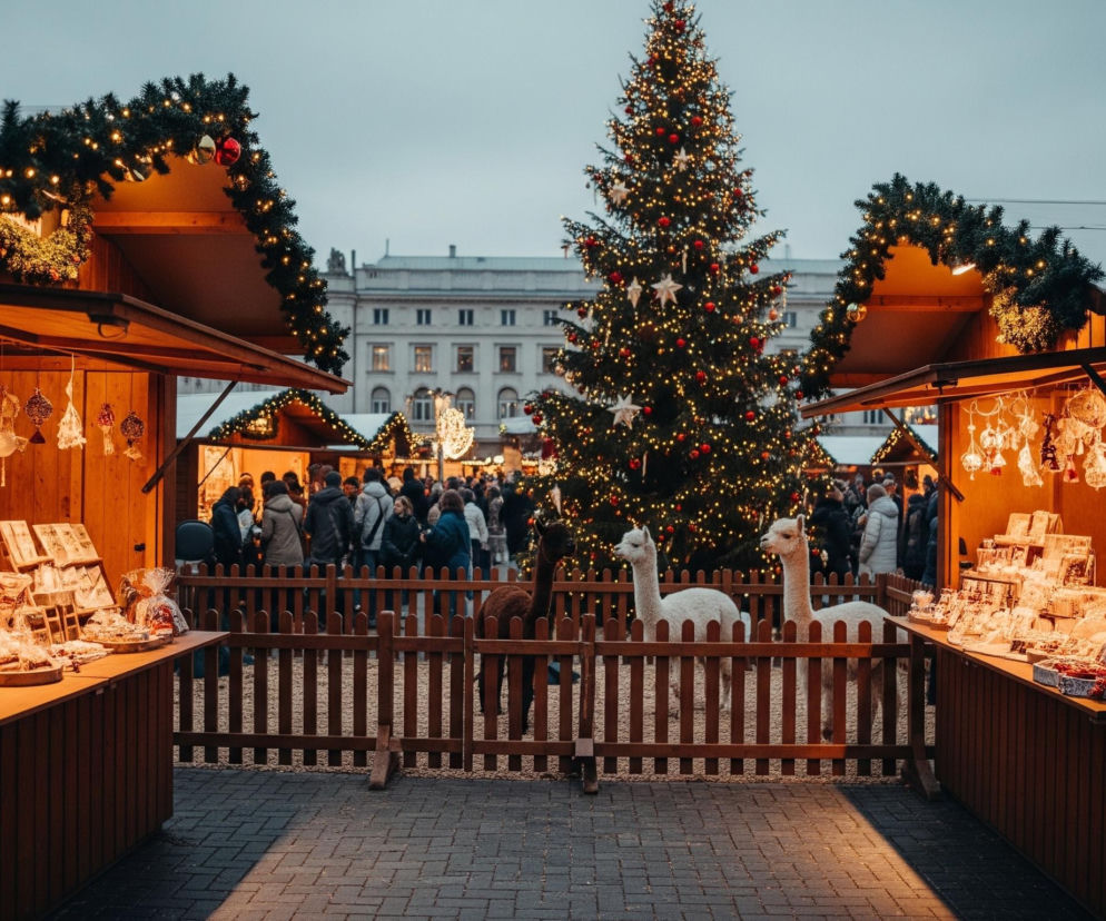 Centralnym punktem obrazu jest duża, udekorowana choinka, oświetlona licznymi żółtymi lampkami, czerwonymi bombkami i białymi gwiazdami, umieszczona na placu wyłożonym ciemną kostką brukową. Wokół choinki rozciąga się jarmark bożonarodzeniowy, z drewnianymi budkami po obu stronach kadru, których dachy są ozdobione girlandami zielonych gałązek i żółtymi światełkami. Pomiędzy budkami a choinką widoczna jest drewniana barierka, za którą stoją trzy alpaki – jedna brązowa po lewej i dwie białe po prawej, na tle tłumu ludzi. Budki po lewej i prawej stronie są jasno oświetlone od wewnątrz, eksponując różnorodne towary, w tym wiszące ozdoby i zapakowane produkty na blatach. W tle, za choinką i tłumem, widać jasny, piętrowy budynek o klasycznej architekturze pod szarym, zachmurzonym niebem.