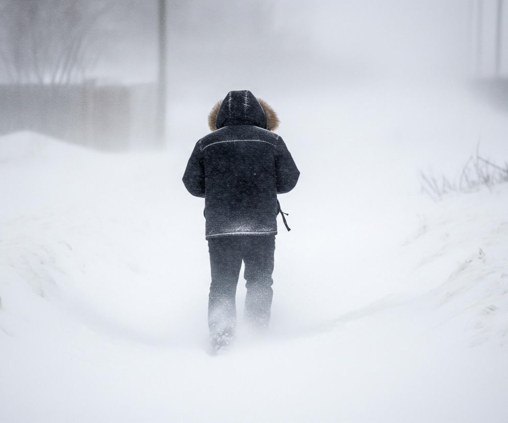 Mężczyzna w ciemnej kurtce z kapturem obszytym futrem idzie odwrócony plecami w stronę widza, brodząc w głębokim śniegu. Scena jest zdominowana przez biel i szarość, z widocznym opadem śniegu i zamglonym tłem, gdzie majaczą niewyraźne zarysy ogrodzeń i roślinności. Śnieg leży grubo na ziemi, tworząc pofalowane zaspy wzdłuż ścieżki.