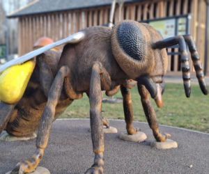 Zobacz jak zmienia się otoczenie Dębu Bartek w Zagnańsku