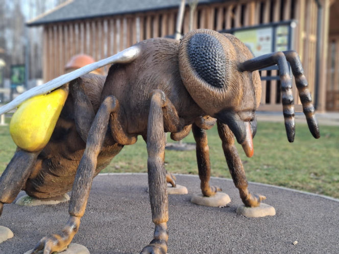 Zobacz jak zmienia się otoczenie Dębu Bartek w Zagnańsku