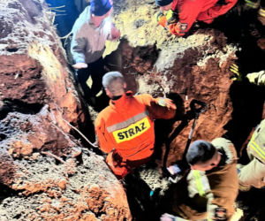 STRAŻACY uratowali suczkę psa z lisiej nory