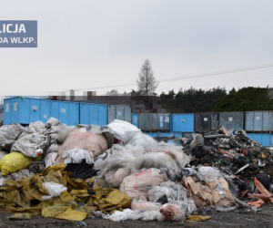Podejrzane beczki w Środzie Wielkopolskiej. To prawdziwa BOMBA ekologiczna 