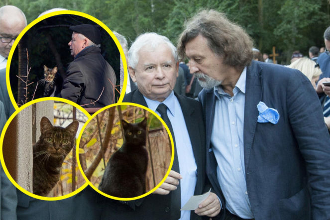 Brat cioteczny Kaczyńskiego ujawnia: "Koty Jarka nas terroryzują". O co chodzi?