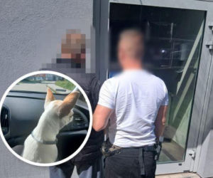 Przyszedł naprawić dach. Ukradł psa rasy chihuahua i oddał go znajomej