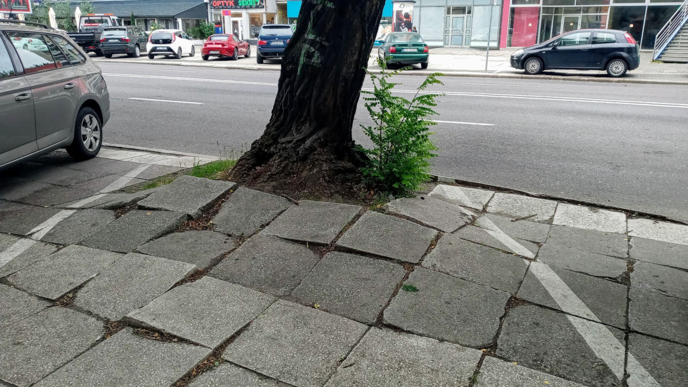 Umowa podpisana. Główna aleja w centrum Szczecina przejdzie dużą metamorfozę