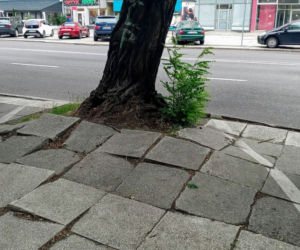 Umowa podpisana. Główna aleja w centrum Szczecina przejdzie dużą metamorfozę