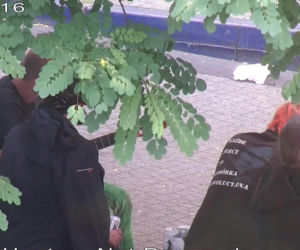 Poznaniacy lubią pić pod chumurką. Posypały się mandaty