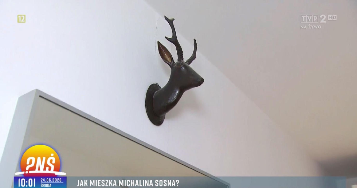 Michalina Sosna (Kama z M jak miłość) pokazała mieszkanie w "Pytanie na śniadanie"