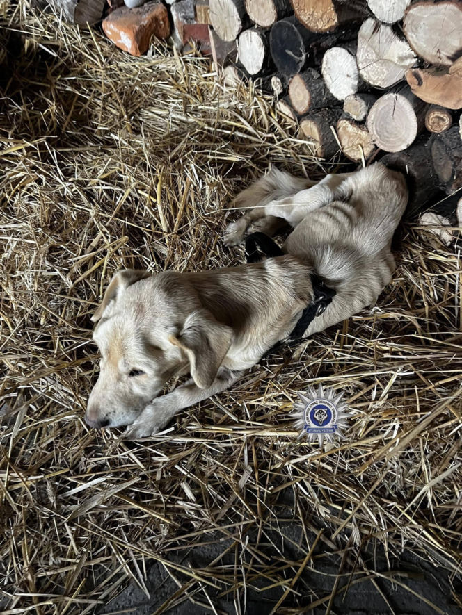 Szokująca interwencja w Chełmie
