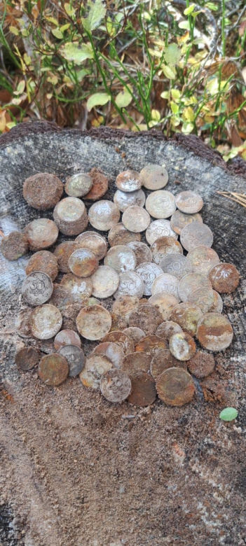 Skarb w butelce pod Skarżyskiem. W szklanej kapsule czasu leżał ponad 70 lat