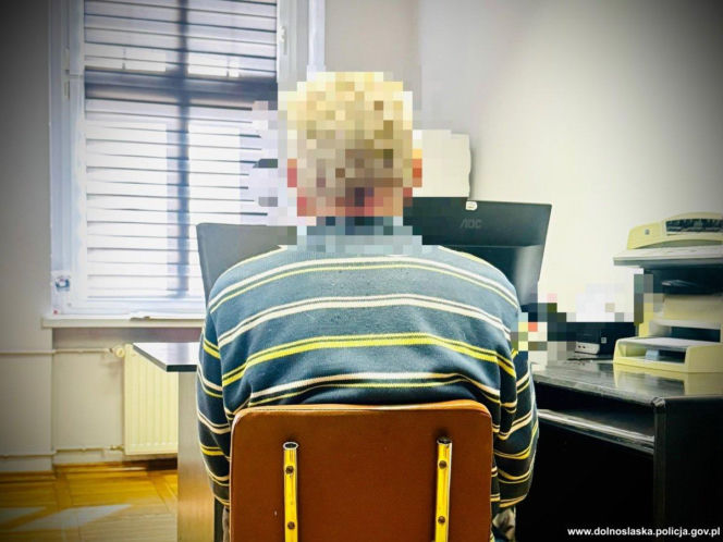 Zakatowali psa siekierą i kantówką. Szokujące okrucieństwo w gminie Borów na Dolnym Śląsku