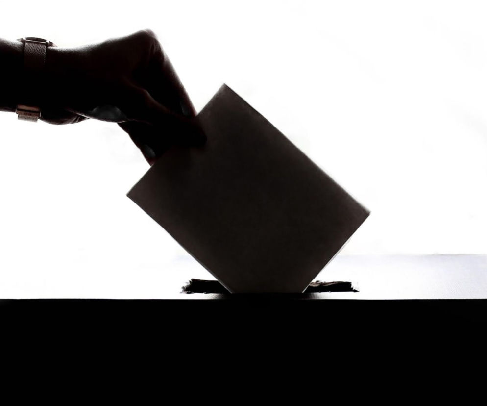 Referendum, głosowanie