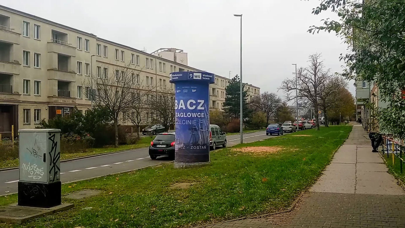 Okazałe drzewa na Turzynie poszły pod topór