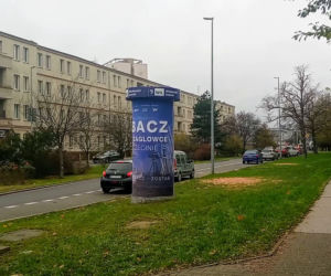 Okazałe drzewa na Turzynie poszły pod topór