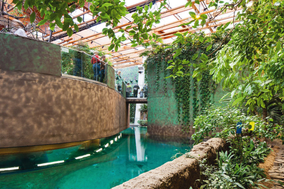 Afrykarium we Wrocławiu 