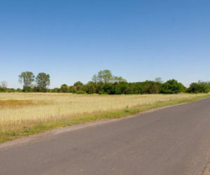 Działki na Zaborowie. Ile kosztują nowe tereny pod zabudowę?
