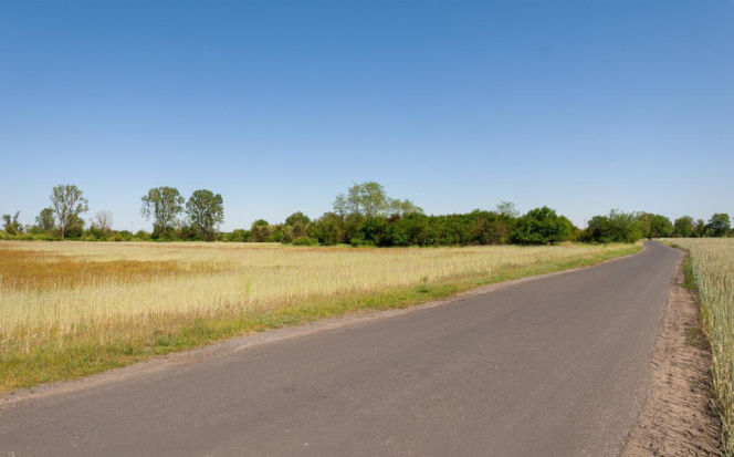 Działki na Zaborowie. Ile kosztują nowe tereny pod zabudowę?