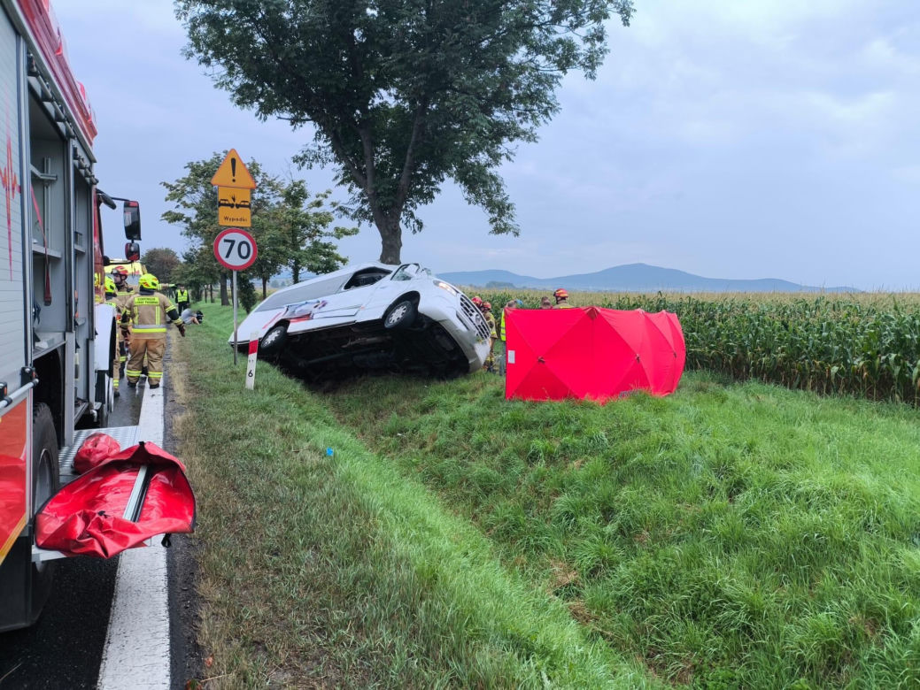 Wypadek na DK8 w Pustkowie Wilczkowskim koło Kłodzka