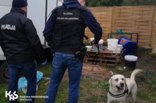 Płońsk: Czworonogi wywąchały wytwórnię mefedronu! W akcji antyterroryści [GALERIA]
