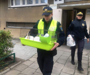 Straż Miejska pomaga zwierzętom