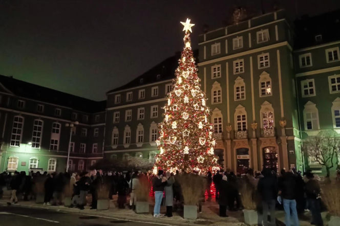Choinka przed urzędem miasta w Szczecinie