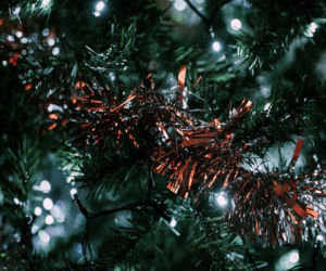 EKO CHOINKA 2026 - przed nami finał 