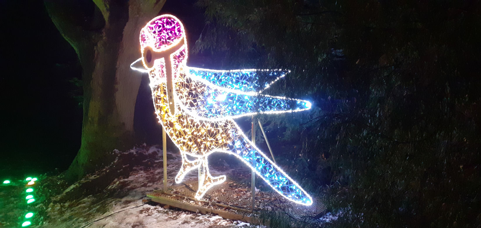 Lumina Park w Ogrodzie Botanicznym UMCS w Lublinie