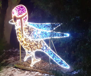 Lumina Park w Ogrodzie Botanicznym UMCS w Lublinie