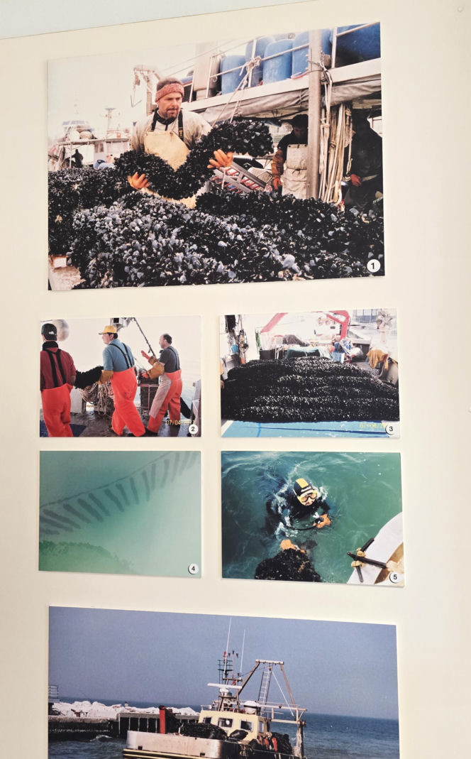 Turystyka rybacka w Cesenatico. Włoskie wybrzeże kusi polskich turystów