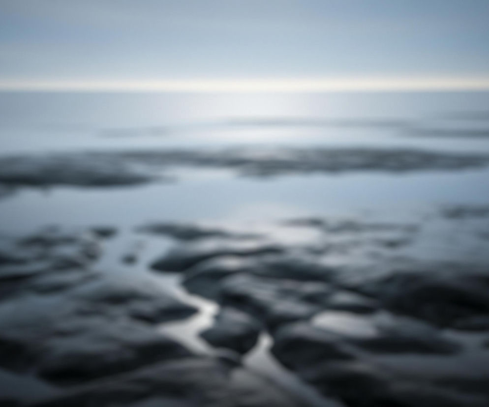 Rozmyty obraz przedstawia krajobraz z ciemnym, nieregularnym, skalistym lub błotnistym gruntem na pierwszym planie, który przechodzi w obszar jasnej, odbijającej światło wody lub tafli lodu. Horyzont z rozmytym, jasnym pasem światła dzieli niebo o niebiesko-szarym odcieniu od pozostałej części kompozycji. Całość utrzymana jest w chłodnych, stonowanych odcieniach szarości i błękitu, z kilkoma jaśniejszymi refleksami.