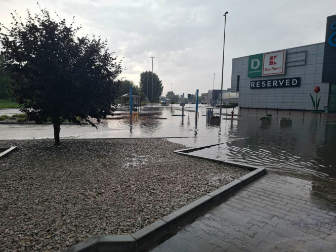 Zalane Starachowice