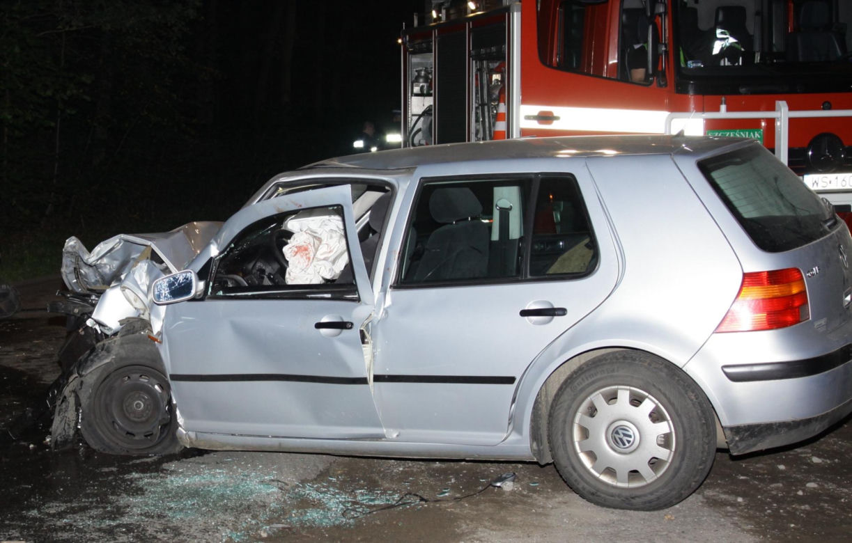 Tadeusz zginął próbując ratować Perełkę. Nocna podróż samochodem zakończona tragedią