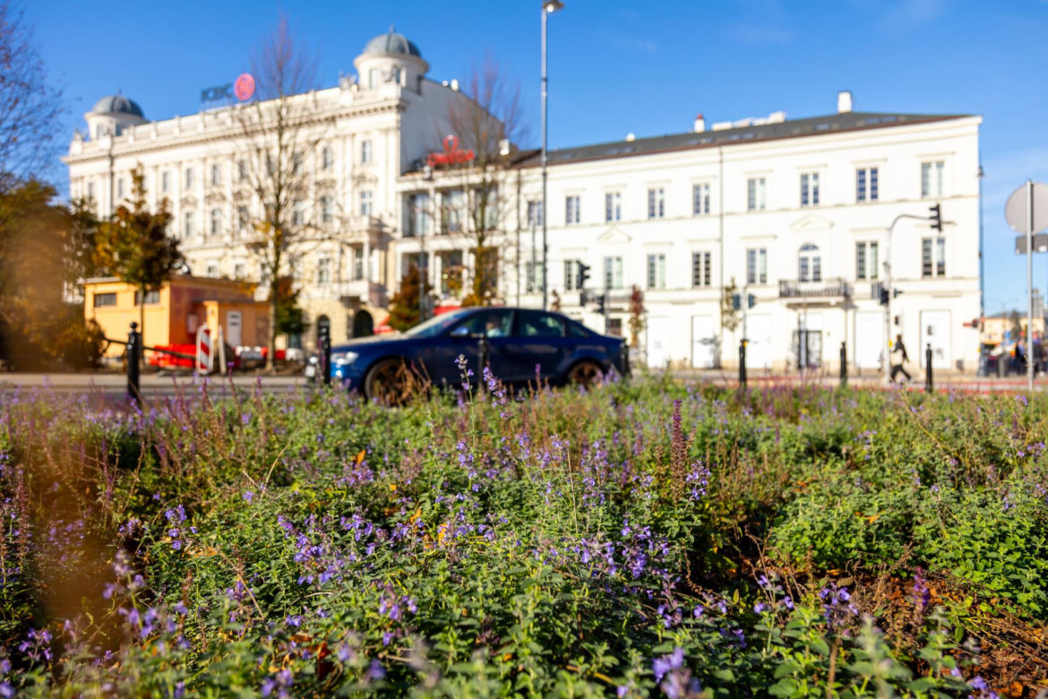 Zmodernizowany Plac Trzech Krzyży