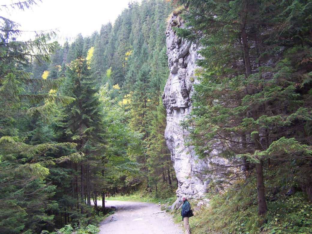 Dolina Kościeliska