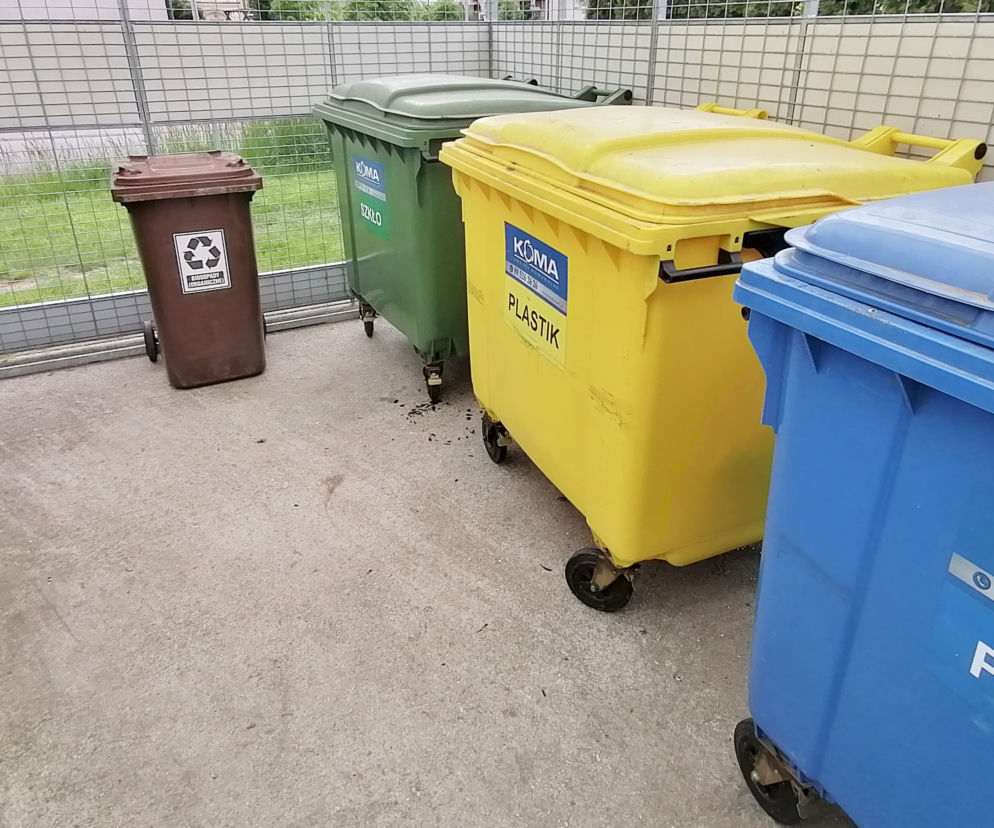 kary za niesortowanie śmieci