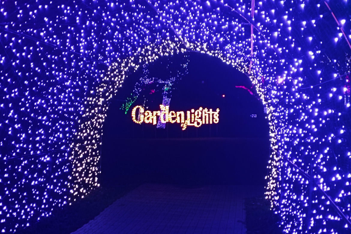Garden of Lights w Szczecinie