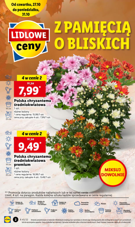 Znicze  i chryzantemy w Lidlu od 27.10