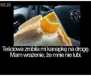 Dzień Teściowej 2021: MEMY. Najlepsze, śmieszne żarty i obrazki o teściowych [ZDJĘCIA]