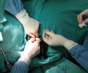 Szpital operacja
