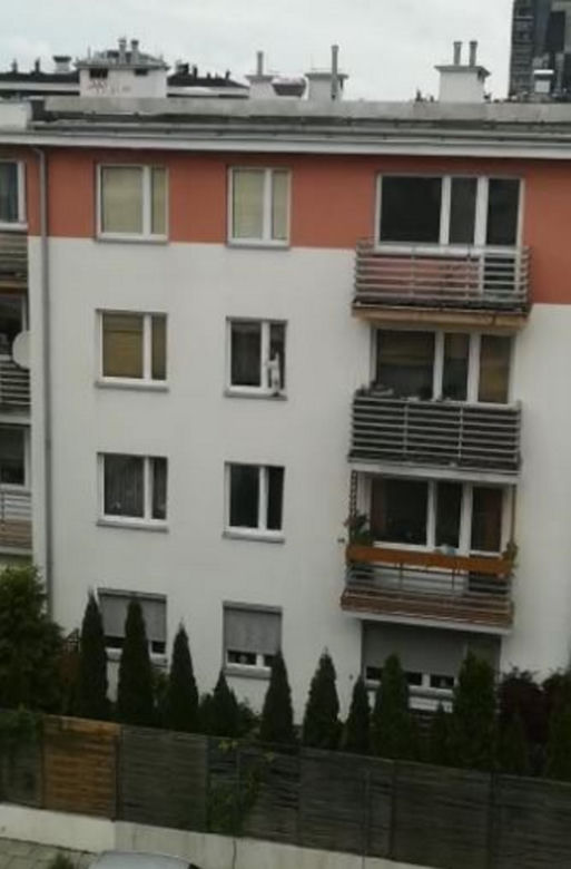 3-latek chodził po parapecie bloku w Kielcach! Szokujące nagranie z Kielc [ZDJĘCIA]