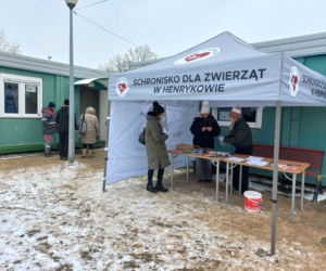 Mruczki w roli głównej. Dzień Kota w schronisku dla bezdomnych zwierząt w Henrykowie