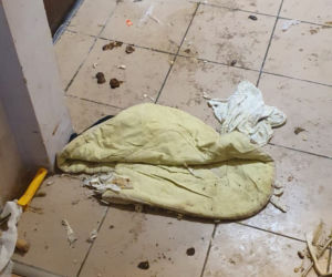 Piła: Dziecko 18-latki żyło wśród PSICH ODCHODÓW i starych pieluch